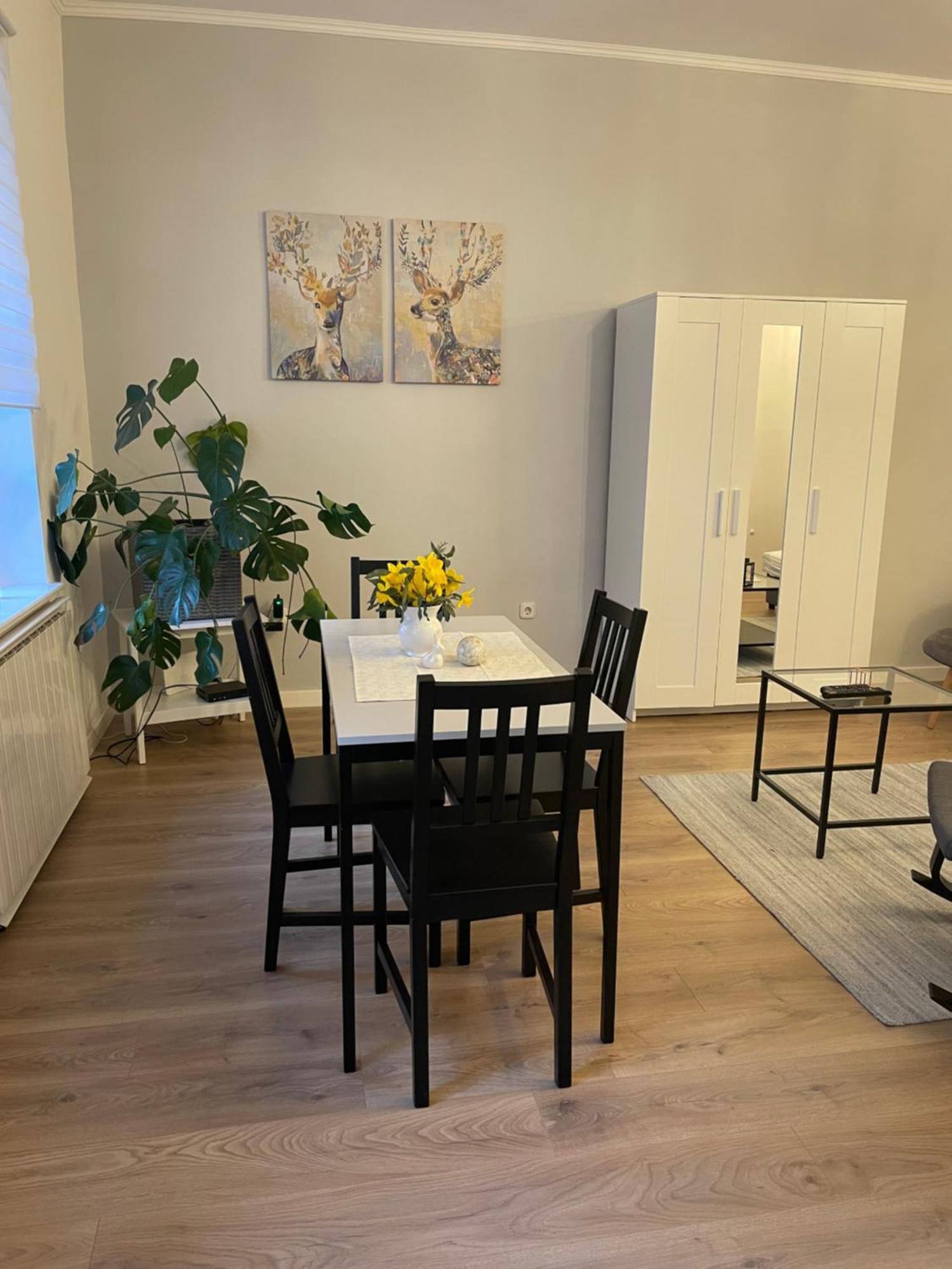 Zwinger Apartman Sopron Kültér fotó